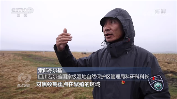 1623115813348435.png 6.png