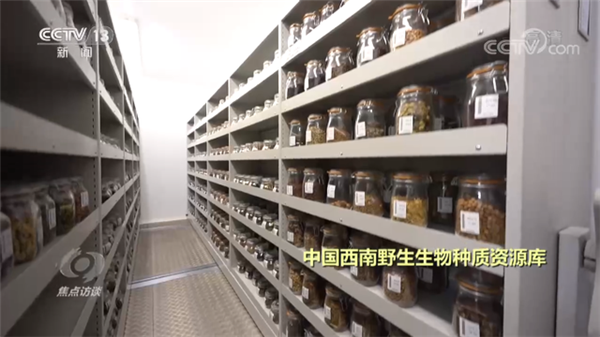 1623115910925315.png 12.png