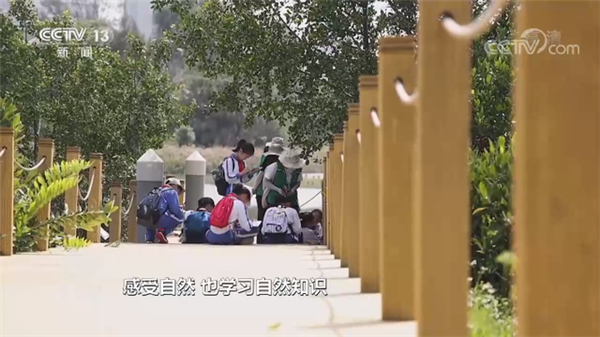 1623115919712962.png 13.png